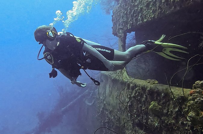 2 guided shore dives in Curacao - Why the small group matters
