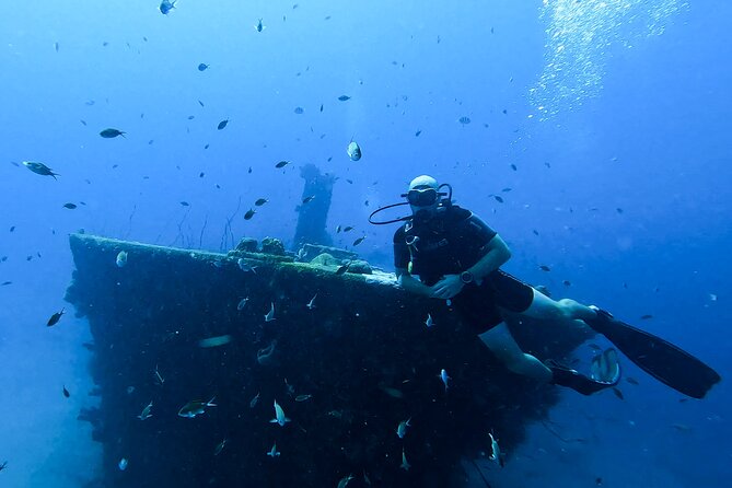 2 guided shore dives in Curacao - Who will get the most from this outing