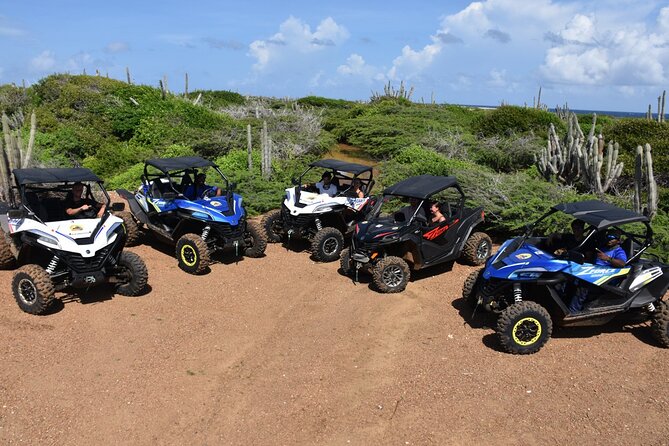 2-Hour Buggy Adventure Tour in Curacao - Key points to know before you book