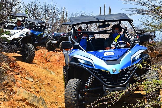 2-Hour Buggy Adventure Tour in Curacao - What the $170 UTV price really covers