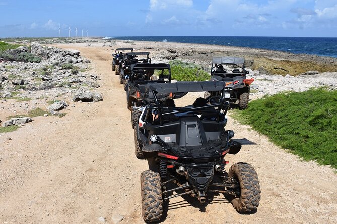 2-Hour Buggy Adventure Tour in Curacao - Cactus plains and sandy trails near St. Joris