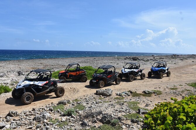 2-Hour Buggy Adventure Tour in Curacao - Caves, viewpoints, and stops that vary by day