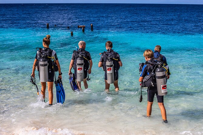 2 Tank Guided Dive half-day - La Palapa, the turtle favorite