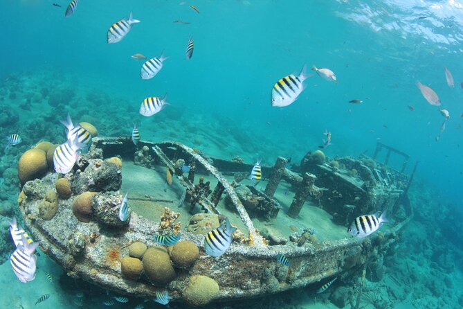 2 Tank Guided Dive half-day - Why the small group matters