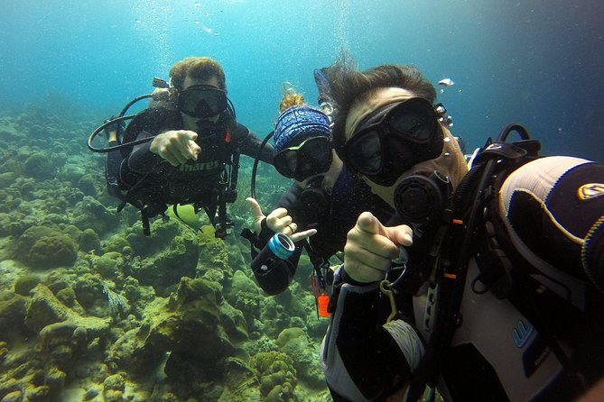 2 tank guided dive House Reef (Pierbaai Reef and Car Pile) - Key points to know before booking