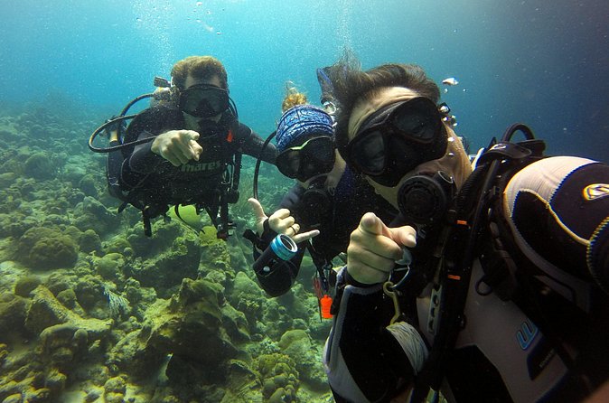 2 tank guided dive House Reef (Pierbaai Reef and Car Pile) - One hour underwater, and why that matters