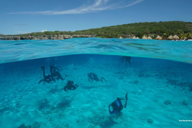 2 tank guided dive House Reef (Pierbaai Reef and Car Pile) - What the $109 price really includes