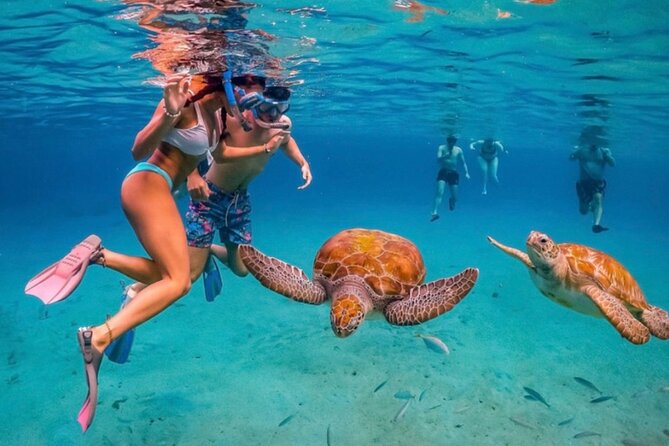 3-Hour ATV Can-Am Adventure Tour in Willemstad, Curaçao - Price, passenger offer, and the real cost