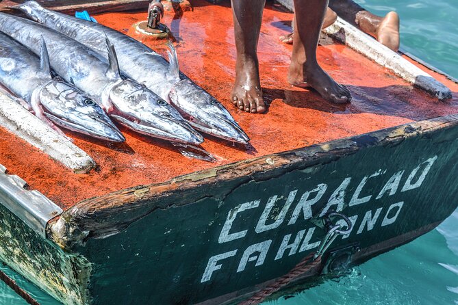 6 Hour Private Guided Tour Beyond the Beaches of Curacao - The private guide is the real value