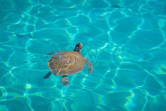 6 Hours Guided Beach Escape - What the guides add to the day