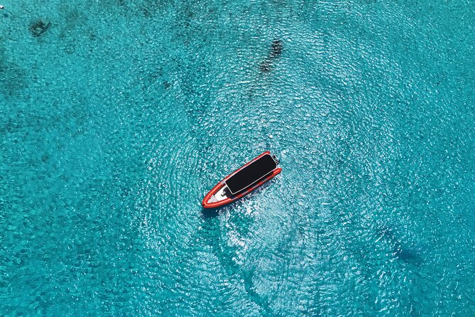 Adventurous Snorkel and Sightseeing tour with RIB boat - Is $105 a fair price?