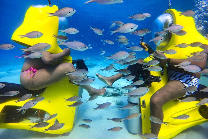 Aquafari Tour in Curaçao - Fish, turtles, and what you are likely to see