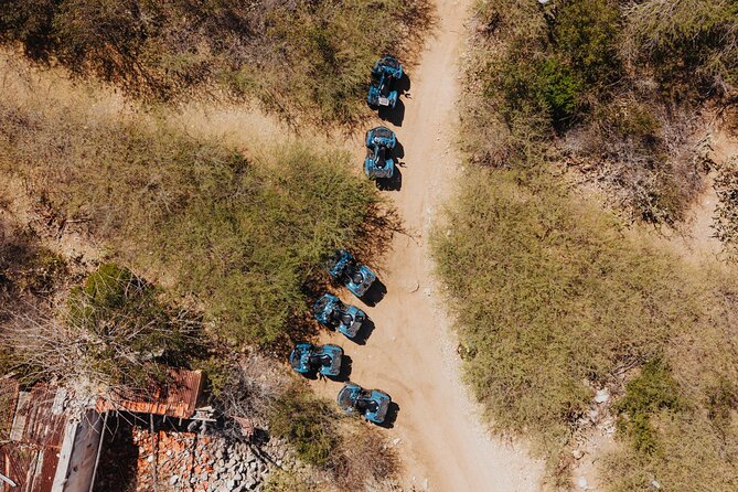 ATV Adventure Tour on Curacao East Coast - The Curacao Ostrich Farm: an unexpected change of pace