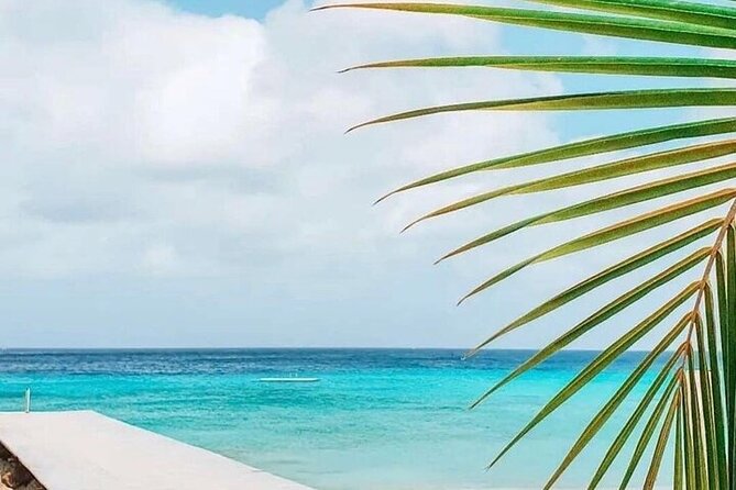 Authentic Curacao : Private Full island Tour - Local lunch and a taste of Curacao