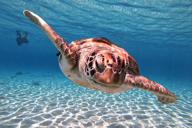 Best Highlight Island Tour - Perfect Day Tour. Small group Tour - Shete Boka’s rough Atlantic coast