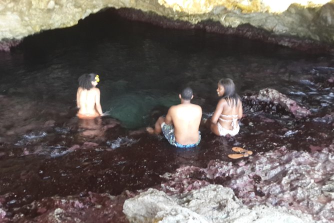 Buggy Tours in Curacao - Flamingos, sea turtles, and snorkeling time