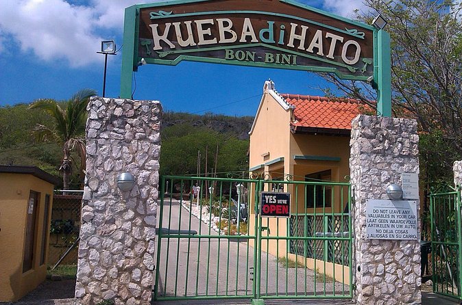 Curacao Beach and Hato Caves Tour - Pickup, port timing, and the size of the group