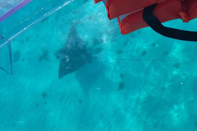Curaçao ClearBoat Snorkel Tour – Daaibooi, Porto Marie & Cas Abao - Who will enjoy it most