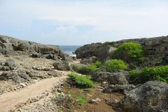 Curacao Complete Island Tour - Why this full-island route works