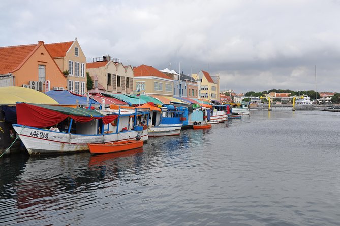 Curacao Complete Island Tour - The minibus, guide style, and pace