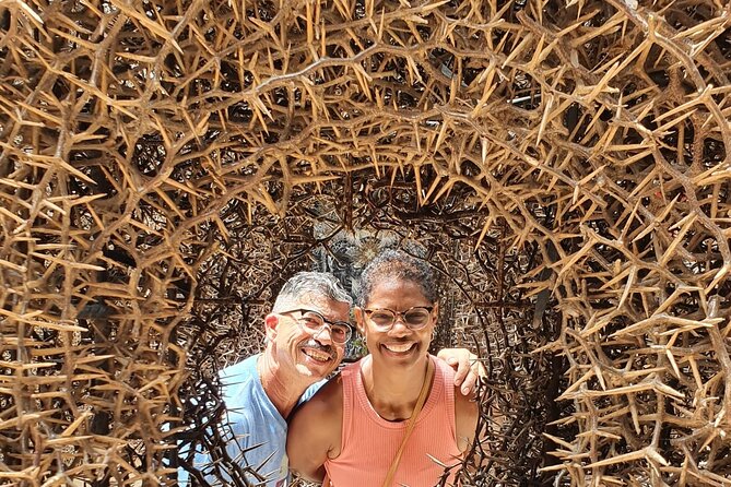Curaçao Contemporary Art Tour - Is $20 a fair price?