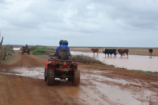 Curacao Half Day ATV East Adventure Tour - Heat, dust, and the right packing list