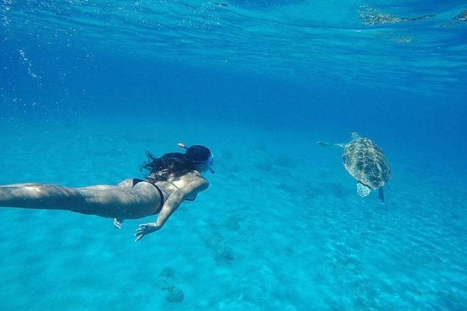 Curaçao Nature Lovers Tour - Shete Boka National Park and the force of the sea
