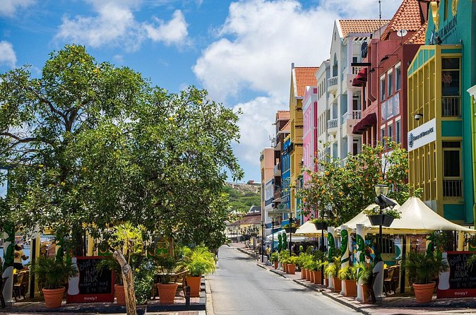 Curacao Private Tour and Activity Experience (4 up to 13 people) - Flamingos, plants, and Curaçao’s quieter side