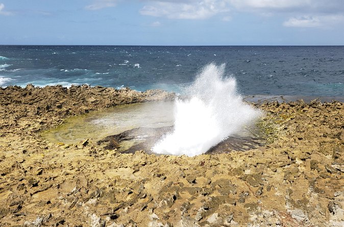 Curacao Private Tour and Activity Experience (4 up to 13 people) - Blue Curaçao at the island distillery