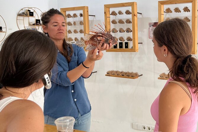 Curaçao Royal Trip - Punda, Gómez Square, and the Curaçao letters
