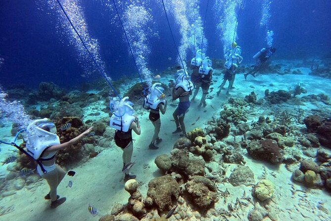 Curacao Sea Trek Snuba Combo Walk Tour and Dive the Ocean - Key points to know before you book