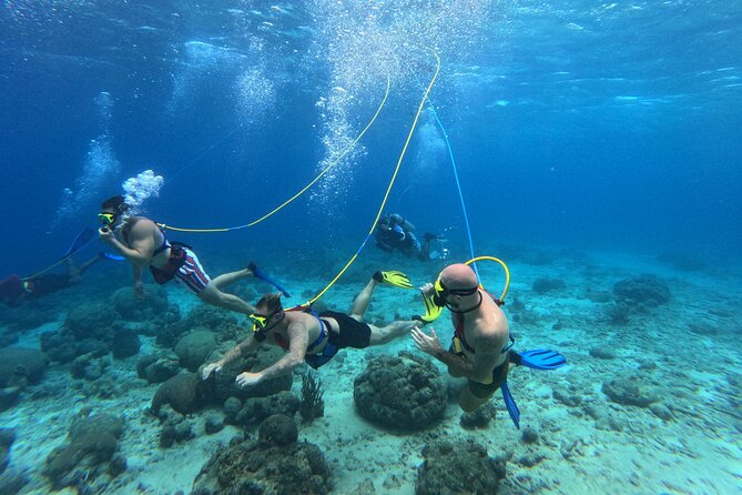 Curacao Sea Trek Snuba Combo Walk Tour and Dive the Ocean - Two ways to meet Curaçao’s underwater world