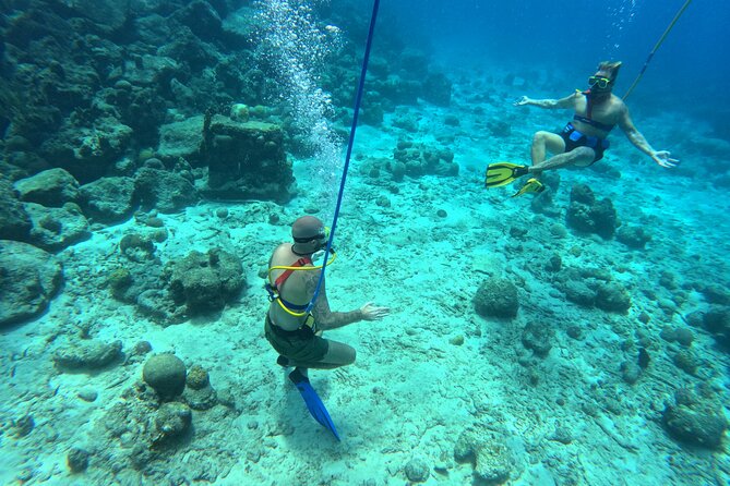 Curacao Sea Trek Snuba Combo Walk Tour and Dive the Ocean - What you see below the surface