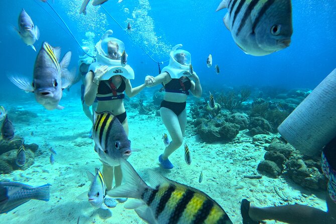 Curacao Sea Trek Snuba Combo Walk Tour and Dive the Ocean - Who will get the most from this combo