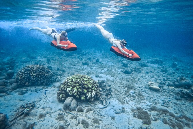 Curaçao Seabob in Playa Piskado Adventure with Sea Turtles - Key points before you book