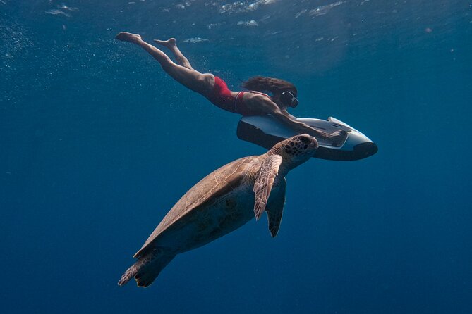 Curaçao Seabob in Playa Piskado Adventure with Sea Turtles - What the Seabob experience actually feels like