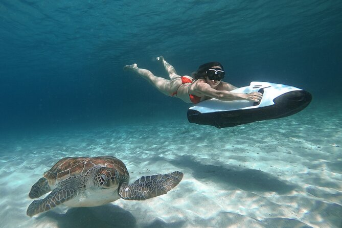 Curaçao Seabob in Playa Piskado Adventure with Sea Turtles - The briefing is especially useful for beginners