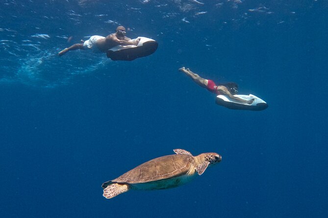 Curaçao Seabob in Playa Piskado Adventure with Sea Turtles - Why the private format changes the experience