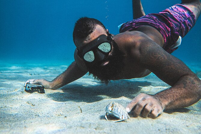 Curaçao Seabob in Playa Piskado Adventure with Sea Turtles - Photos and video let you focus on the water