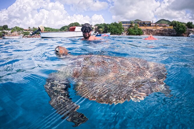 Curaçao Seabob in Playa Piskado Adventure with Sea Turtles - Is $143.21 a fair price?