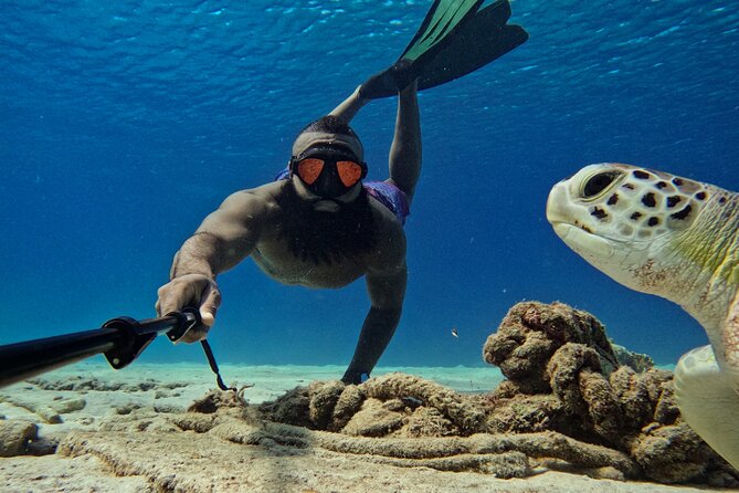 Curaçao Seabob in Playa Piskado Adventure with Sea Turtles - Who will enjoy this most