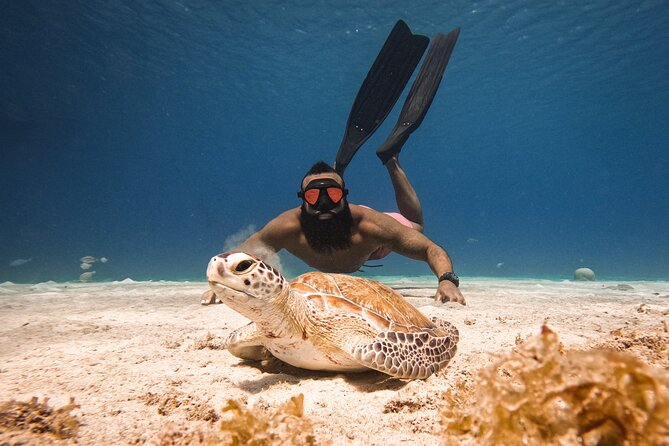 Curaçao Seabob in Playa Piskado Adventure with Sea Turtles - Starting at Playa Piskado, also called Playa Grandi