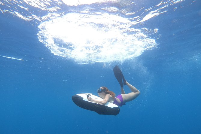Curaçao Seabob Tour (by Bearded Butlers Curaçao) - Timing, meeting details, and the one problem to avoid
