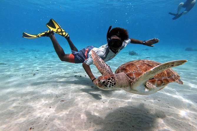Curacao: Swimming with Sea Turtles meets Sea turtle beach - Meeting the turtles at Daaibooi Beach