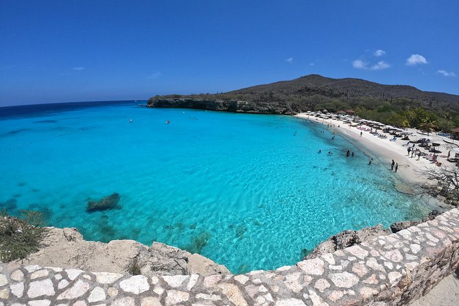 Curacao: Swimming with Sea Turtles meets Sea turtle beach - Ten minutes with flamingos at Landhuis Jan Kok