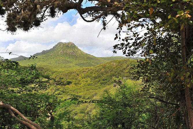 Discover Curaçao Self Guided Island Tour - Christoffelpark and Kas di Pal’i Maishi