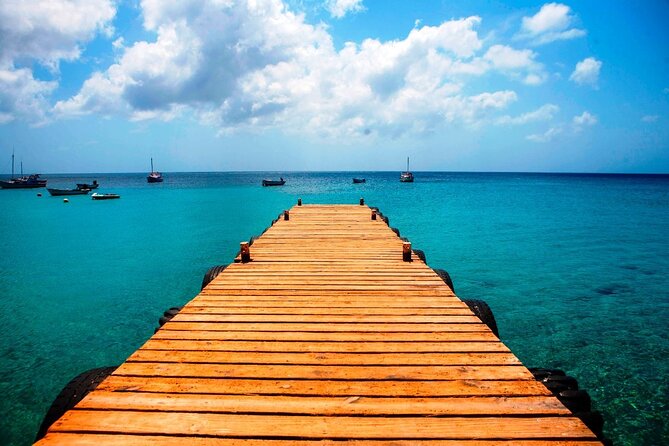 Discover Curaçao Self Guided Island Tour - Curaçao Ostrich Farm and the eastern side