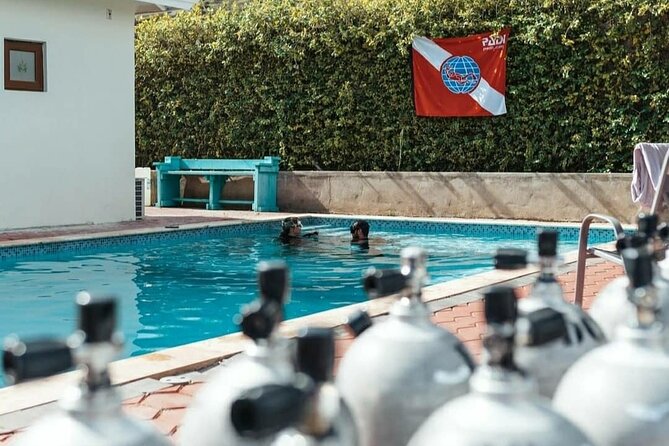 Discover Diving in Curaçao with Transportation Included - Hotel pickup, port pickup, and the meeting point