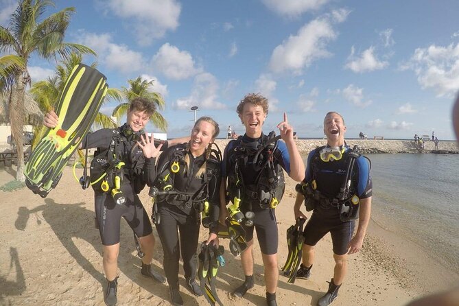 Discover Diving in Curaçao with Transportation Included - What you might see underwater
