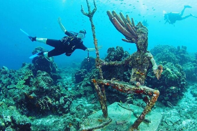 Discover Diving in Curaçao with Transportation Included - Who should book this Curaçao activity